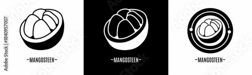 Mangosteen logo set. Collection of black logos. Stock vector.