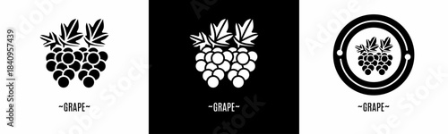 Grape logo set. Collection of black and white logos. Stock vector.