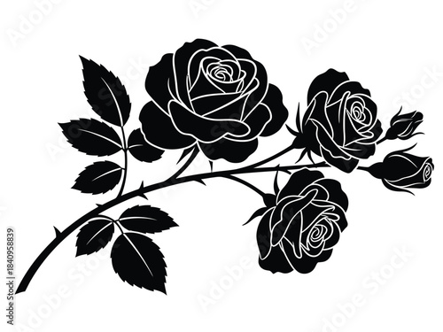 Black Silhouette of Roses and Buds on White Background