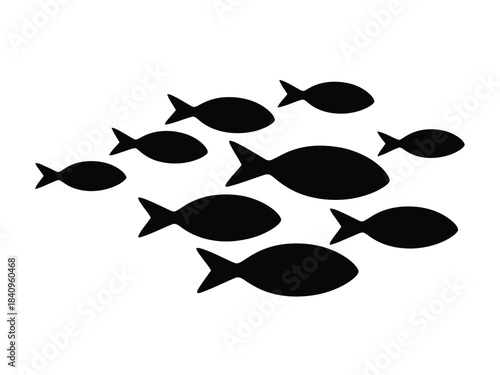 Silhouette of a School of Fish Swimming shoal