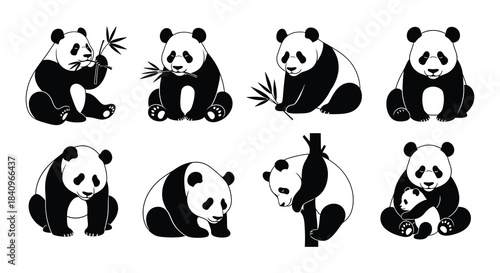 Charming panda illustrations a collection of black and white bear designs