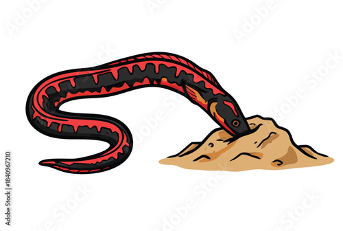 A black and red eel-like creature, possibly a snake or caecilian, with vibrant red stripes, burrows its head into a small pile of light brown sand or dirt.