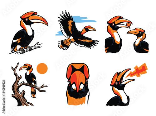 Illustrations of hornbills in various poses including perching, flying, feeding, and stylized depictions.
