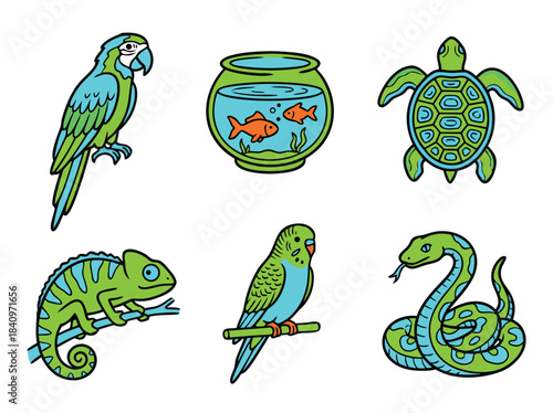 Six cartoon illustrations of various pets including a parrot, fish, turtle, chameleon, parakeet, and snake.