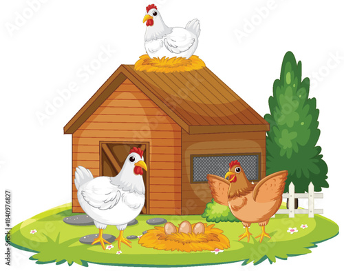 Chickens and Eggs Around Wooden Chicken Coop Illustration