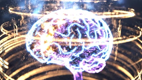 Anatomical representation of the human brain. Symbolic video for the field of science and neurology	