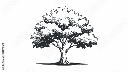 Detailed ink sketch of a deciduous tree with lush foliage