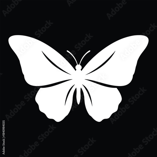 White butterfly silhouette on black background insect