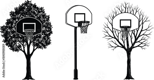 Basketball hoops fused with trees, leafy tree hoop beside metal pole court and bare-branch hoop, nature meets urban sport, playful eco design