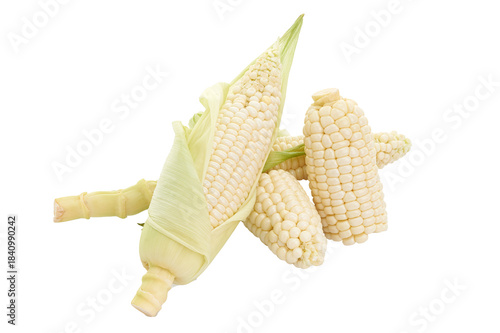White sweet corn (Zea mays L.) isolated on white background with clipping path