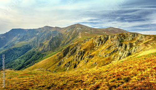 Beautiful landscape in the summer mountain
