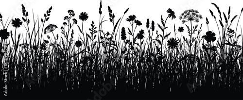 Detailed black silhouette border of wild grass, blooming meadow flowers, and various wild plants, creating a natural, decorative footer element for ecology and environment designs.