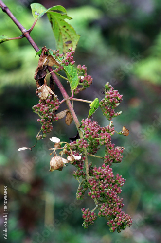 晩秋、太陽が沈むのは早い。木々や草たちは枝や葉っぱを落として冬支度だ。冷え冷えとした空気が辺りを包む午後。鳥たちも家路につく時間。遠くで村の時を告げるサイレンがなった。のどかさを感じる平和な、村の日暮れ。優しさ、愛おしさ、一抹の寂しさをも感じる時間。いつまでも変わらなく永遠に続くことを願う自分。この豊かな国を壊してはいけない。この美しき日本を守っていかなければならない。私たちにできることは何か。