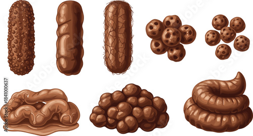 Cartoon poop types illustration, various stool shapes, humorous feces icons, medical reference, brown textures, vector set, white background