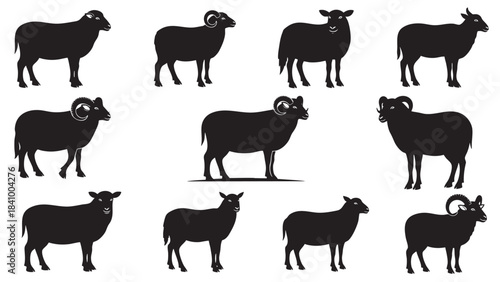 A comprehensive vector collection of various sheep and ram silhouettes illustrating different farm animals and livestock icons