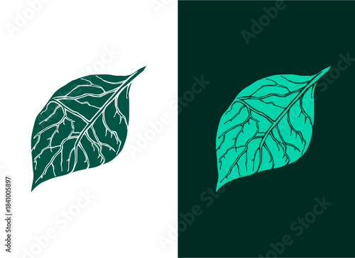Eco Harmony Leaf , an eco harmony leaf vein network, interconnected branch lines, clean sustainable curves, no background, minimalist style.