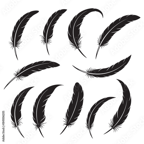 Elegant collection of various black feather silhouettes depicting soft bird plumage design elements