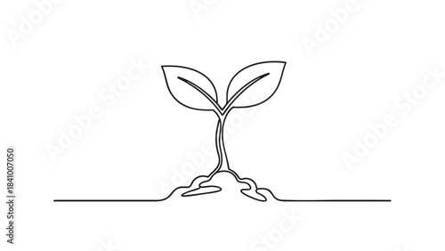 Minimalist continuous line art drawing of a young plant seedling with two fresh leaves emerging from soil