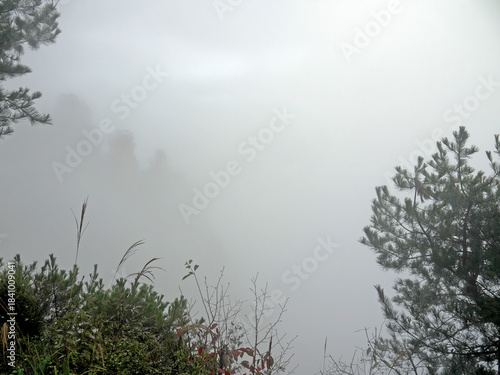 Outline of Zhangjiajie Avatar mountains barely visible in the dense fog