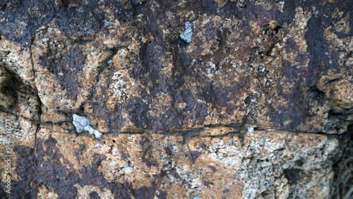 Detailed Texture of Manganese Nodule Mineral Formation