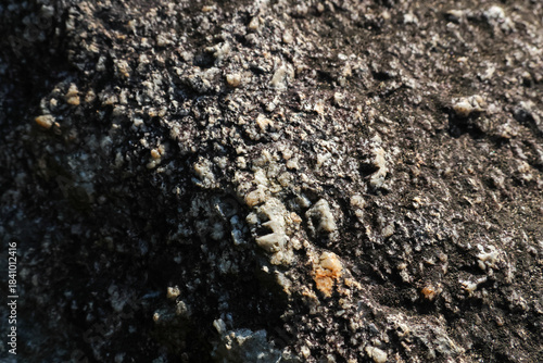Fotografie Close up detail of dark rough rock surface