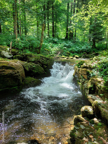 green forest and stream Lobnica. Pohorje mountain. Slovenia.