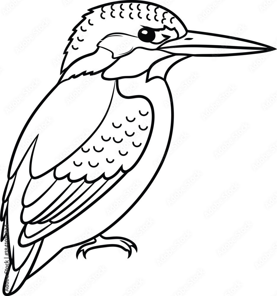 Obraz premium Black and white line drawing of a kingfisher bird illustration outline