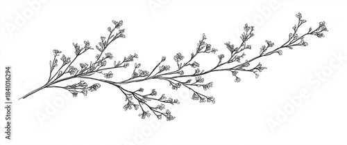floral design with flower and leaf line art vector png transparent background