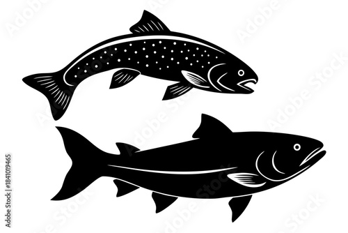 Trout and salmon silhouette vector,  trout fish black symbol
