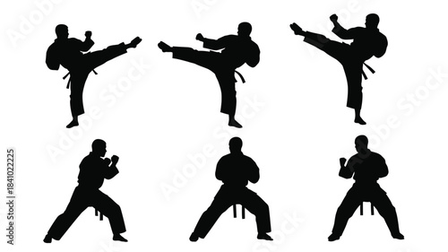 Silhouette series depicting dynamic martial arts poses and fighting stances