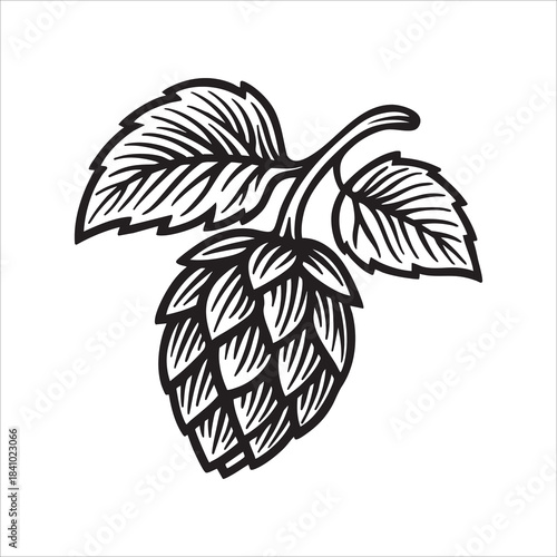 Vintage hand-drawn vector illustration of a hop cone with leaves and bold engraving lines. Hop symbol for beer, brewing, and craft ale themes. Ideal for brewery logos, labels, packaging. 