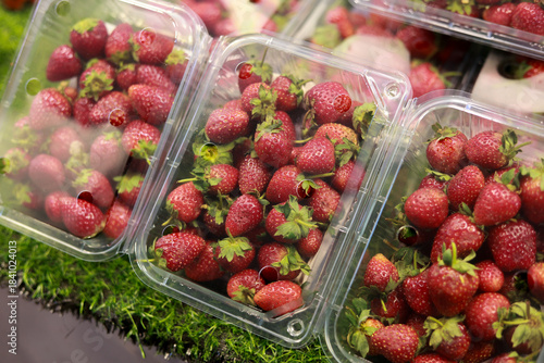 Slika na platnu Fresh ripe red strawberry fruit in plastic container for sale at market
