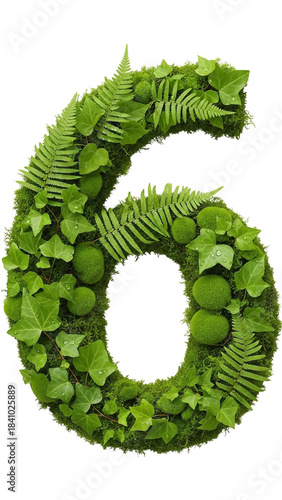 Number six crafted entirely from vibrant green moss lush ivy leaves and textured spherical accents creating a natural botanical numeral design on black on transparent background