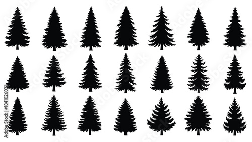 A collection of stylized black silhouettes depicting various pine trees
