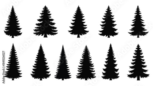 A collection of stylized black silhouette pine tree shapes on a white background