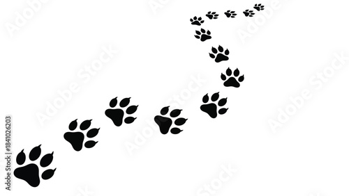 A trail of black paw prints leading across a white background