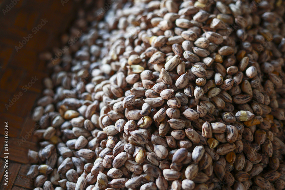 Obraz premium Macro close up view of pile of raw organic cocoa beans. natural texture and brown pattern on seeds create warm, rustic feeling of abundance and nature