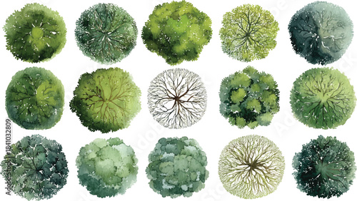 Collection of fifteen watercolor top view trees with varied green foliage and branch structures on a white background