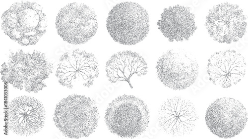 Fifteen diverse grey stippled tree top views arranged in three rows on a white background overhead aerial