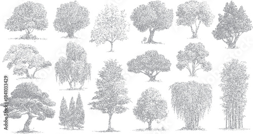 Collection of diverse grey stippled trees and foliage on a white background nature plant
