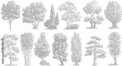 Collection of twelve diverse grey textured trees and bamboo stalks on a white background in a stippled artistic style