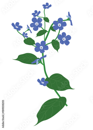 Beautiful vector illustration of blue wildflowers with green leaves and slender stems. Perfect for floral designs, greeting cards, nature themes, invitations, and decorative artwork.