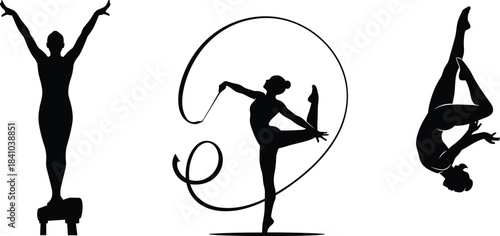 Business Team Silhouettes, Corporate Professionals, Executive Management Group, Standing Men and Woman, Formal Wear, Suits, Ties, Leadership, Authority, Teamwork, Vector, Illustration, Black, White 