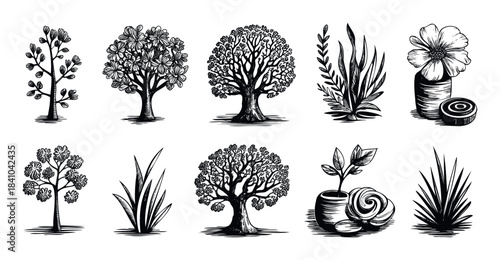 Set of black and white linocut style botanical elements including trees, plants, and flowers for nature themed designs and organic branding concepts