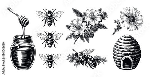 Engraving style collection of bees, flowers, beehive, and honey jar with dipper perfect for food and nature related projects