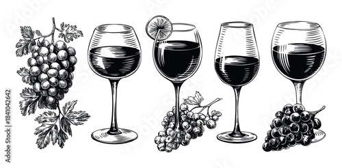 Vintage engraved black and white grapes and wine glasses arrangement perfect for vineyard promotion and beverage advertising
