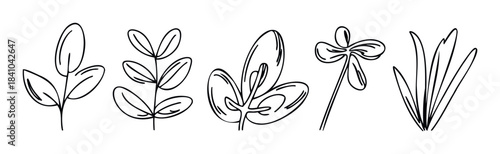 Minimalist black and white line art of botanical elements including leaves, branches, a flower, and grass for decorative and design purposes