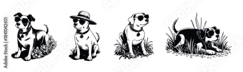 Set of cool dogs wearing sunglasses and hats enjoying outdoor scenes with flowers and grass, perfect for summer promotions and fun lifestyle concepts.