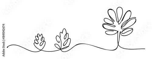 Minimalist continuous line drawing representing plant growth from small sprout to mature tree, ideal for nature, ecology and development concepts in business presentations or web graphics.