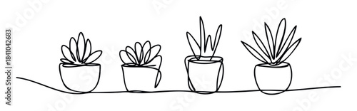 Four potted succulent plants with organic shapes depicted in continuous line style, perfect for home decor inspiration or botanical graphic projects